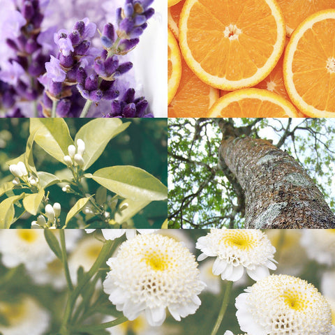 CANVAS Beauty Hong Kong aromatherapy Bedtime Calm