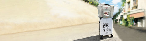 Foldable Travel Bag & Suitcase