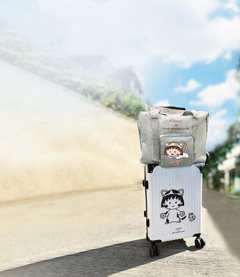 Foldable Travel Bag & Suitcase