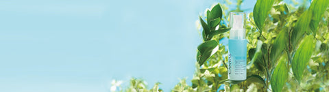 Redemption price $255