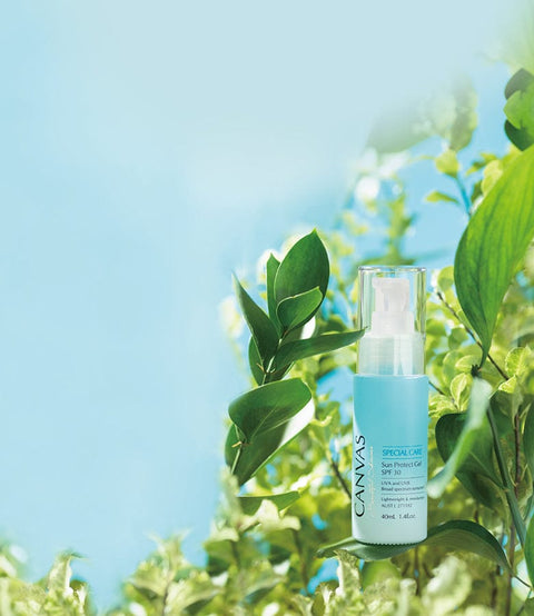 Redemption price $255