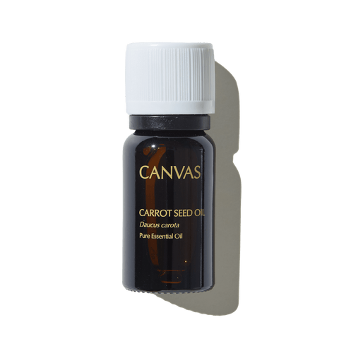 CANVAS Beauty Hong Kong aromatherapy *Carrot Seed Oil