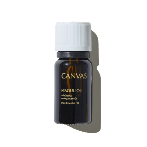 CANVAS Beauty Hong Kong aromatherapy Niaouli Oil