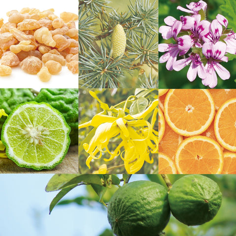 CANVAS Beauty Hong Kong aromatherapy Poised