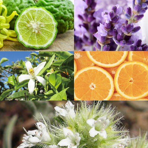 CANVAS Beauty Hong Kong aromatherapy Revive