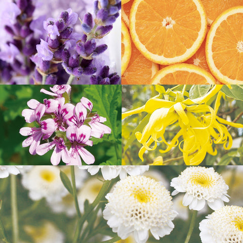 CANVAS Beauty Hong Kong aromatherapy Serenity