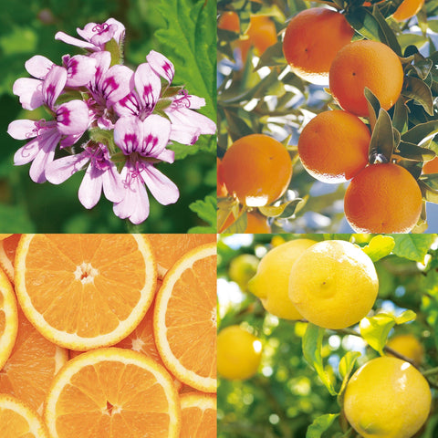 CANVAS Beauty Hong Kong aromatherapy Sunshine