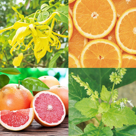 CANVAS Beauty Hong Kong aromatherapy Sweet Serenade