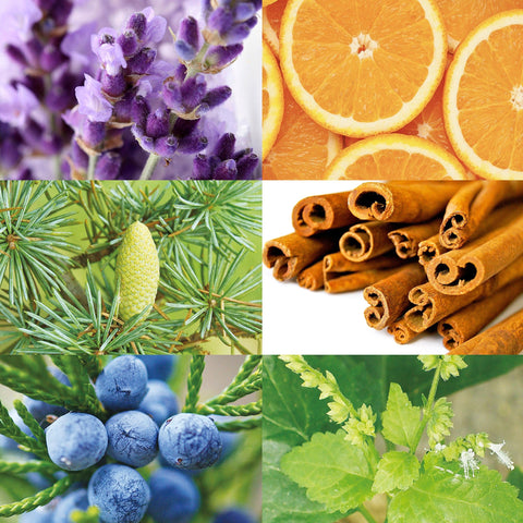 CANVAS Beauty Hong Kong aromatherapy Twilight Romance